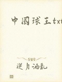 中国球王txt