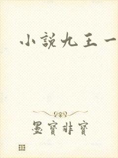 小说九王一后