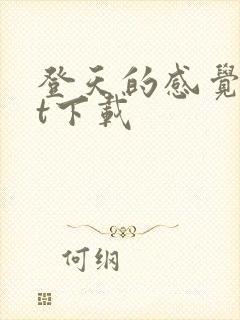 登天的感觉txt下载