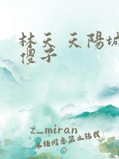 林天 天阳城 傻子