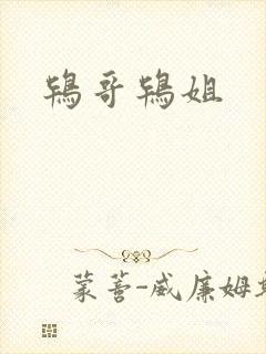 鸨哥鸨姐
