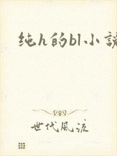 纯h的bl小说
