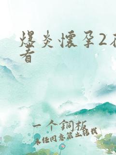 爆炎怀孕2在线看