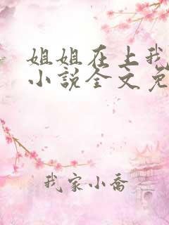 姐姐在上我在下小说全文免费阅读