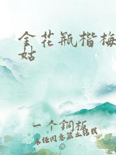 金花瓶楷梅花尼姑