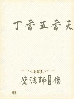 丁香五香天麻豆