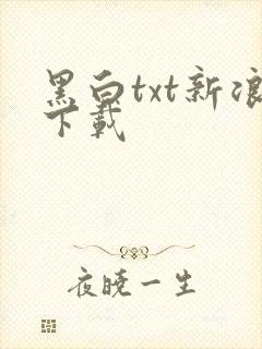黑白txt新浪下载