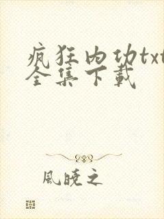 疯狂内功txt全集下载