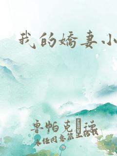 我的娇妻小说