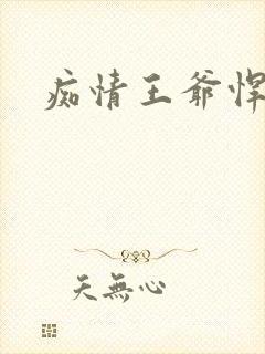 痴情王爷悍王妃