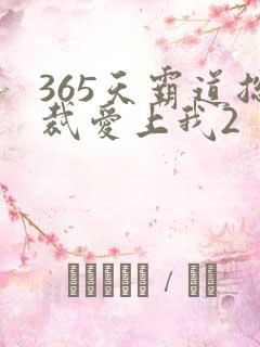 365天霸道总裁爱上我2