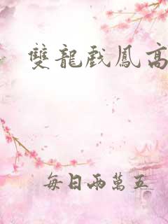 双龙戏凤高h