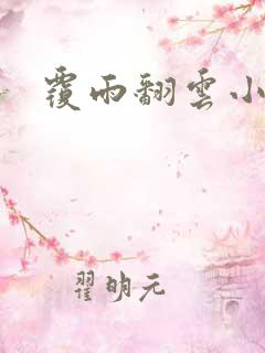 覆雨翻云小说