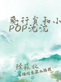 飞行员和小空乘POP沈沉