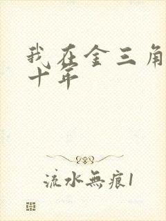 我在金三角卧底十年