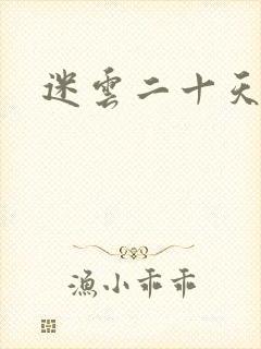 迷云二十天