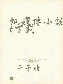 甄嬛传小说txt下载