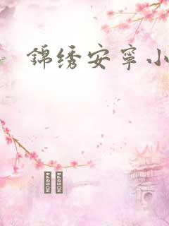 锦绣安宁小说