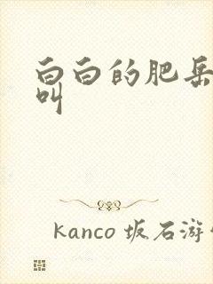 白白的肥岳嗷嗷叫