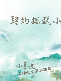 契约总裁小萌宝