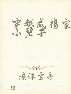 穿越成杨家将最小儿子