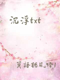 沉浮txt