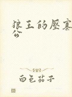 狼王的压寨小相公