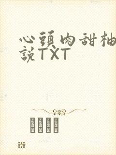 心头肉甜柚子小说TXT