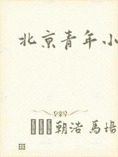 北京青年小说