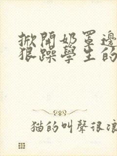 掀开奶罩边躁狠狠躁学生的小文字