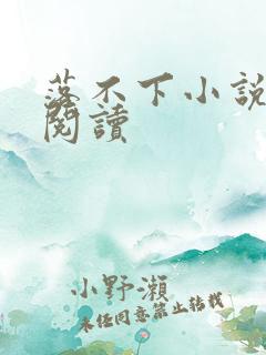 落不下小说全文阅读