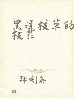 黑道校草的黑道校花