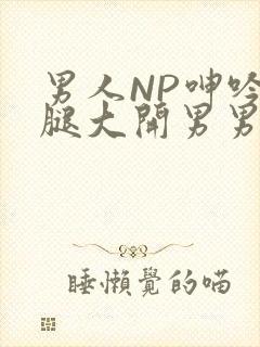 男人NP呻吟双腿大开男男小说