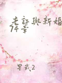 老许与新婚小倩74章