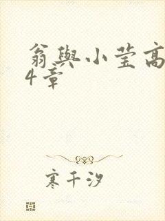 翁与小莹高潮24章