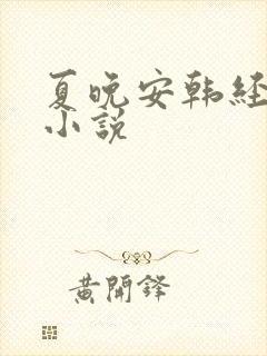 夏晚安韩经年的小说