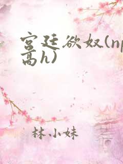 宫廷欲奴(np高h)
