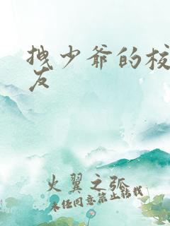 拽少爷的校花女友