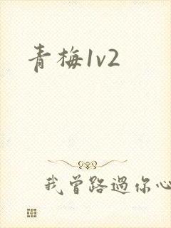 青梅1v2