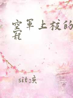 空军上校的邪魅宠