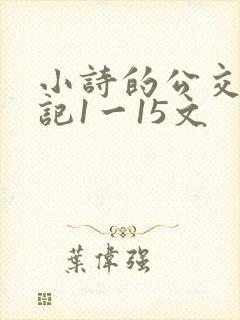 小诗的公交车日记1一15文