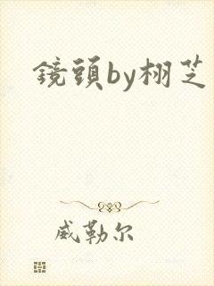 镜头by栩芝