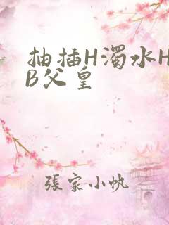 抽插H浊水H嫩B父皇