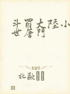 斗罗大陆小说绝世唐门