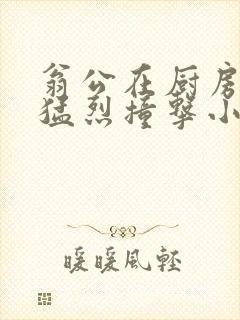 翁公在厨房和我猛烈撞击小说