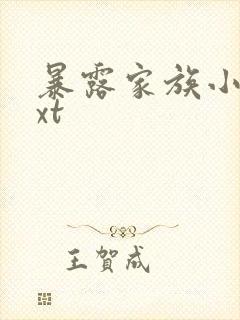 暴露家族小说txt