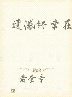 遗憾终常在小说