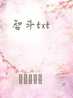 智斗txt