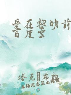 爱在黎明前降落百度云