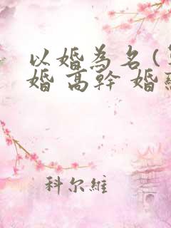 以婚为名 (军婚 高干 婚恋)